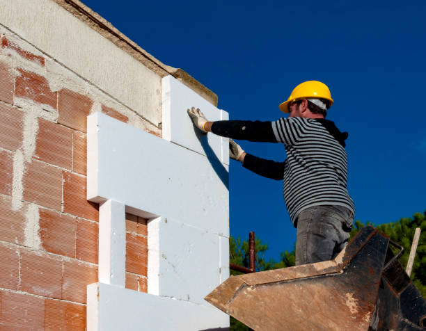 Best Residential Insulation in Stanton, MI