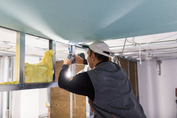 Best Commercial Insulation in Stanton, MI