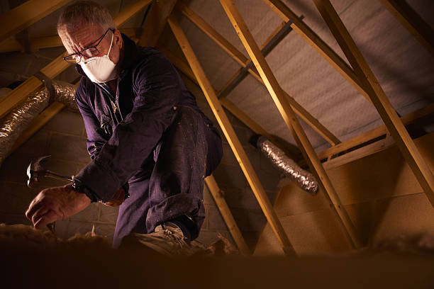 Best Energy Efficiency Insulation in Stanton, MI